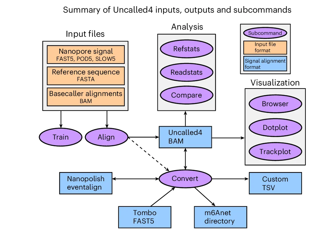 Open access visualization of Workflow, Flowchart, Uncalled4, Inputs, Outputs