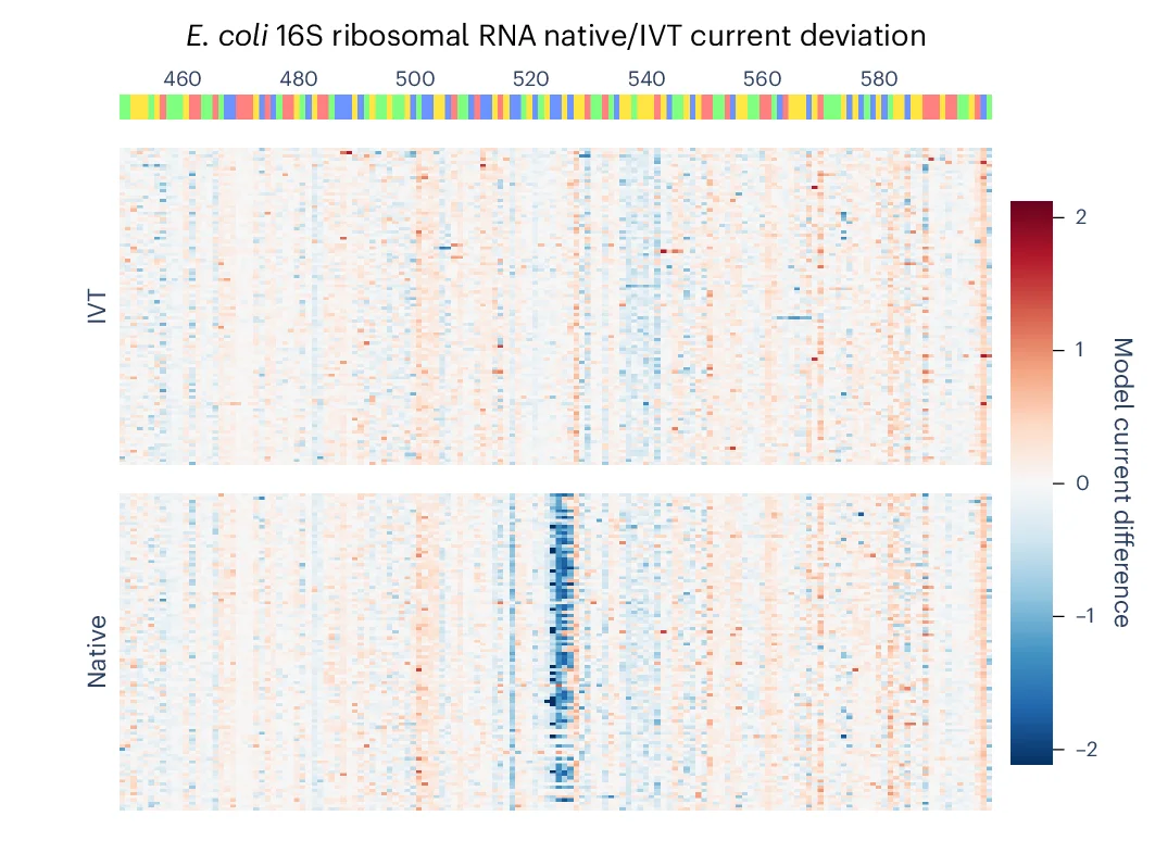 Open access visualization of Heatmap, Trackplot, Heatmaps, Native, IVT