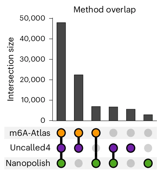 Open access visualization of Bar Plot, Scatter Plot, Sites, Uncalled4, Nanopolish