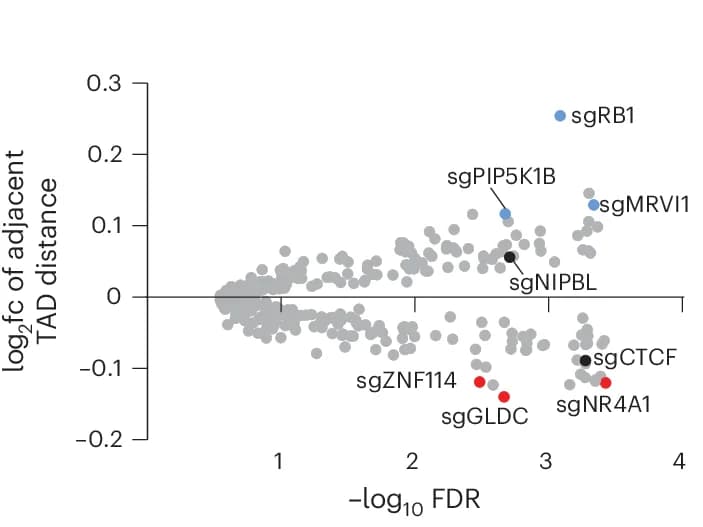 Open access visualization of Scatter Plot, Volcano Plot, Log 2 Fold Change, Spatial Distance, TAD