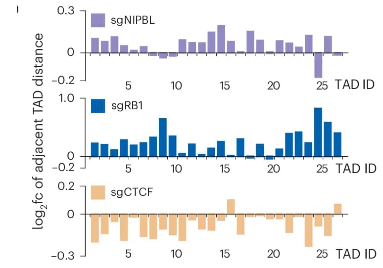 Open access visualization of Bar Plot, Log 2 Fold Change, TAD Distances, Chromosome 22