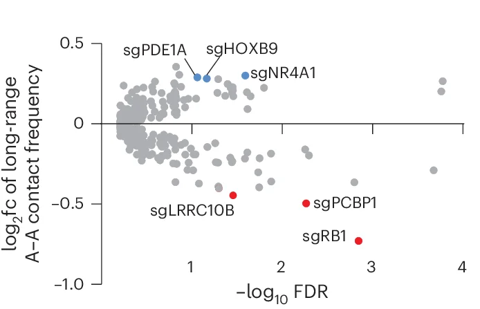 Open access visualization of Scatter Plot, Volcano Plot, Log 2 Fold Change, Long-Range Contact Frequency, A-A