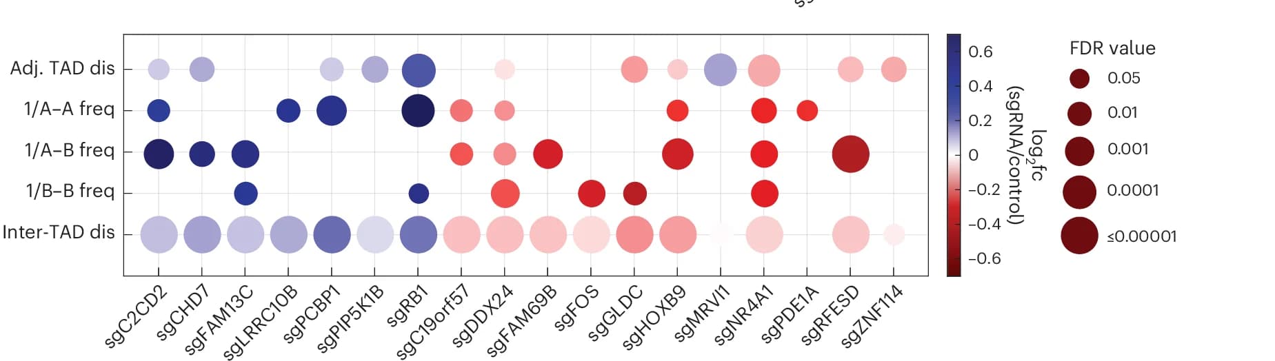 Open access visualization of Bubble Plot, Fold Change, Chromatin Folding, Phenotypes, False Discovery Rate