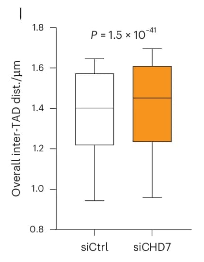 Open access visualization of Box Plot, Inter-TAD Distance, siCtrl, siCHD7