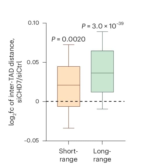 Open access visualization of Box Plot, log2fc, Short-Range Inter-TAD Distances, Long-Range Inter-TAD Distances, siCHD7