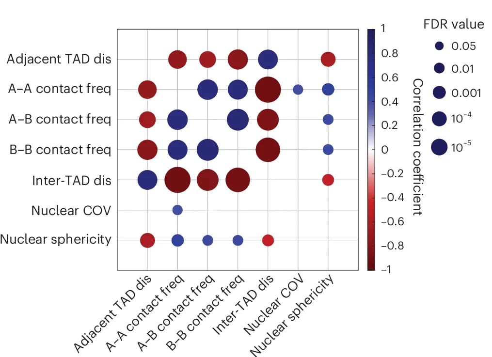 Open access visualization of Bubble Plot, Heatmap, Correlation Coefficients, 3D Genome, Nucleome