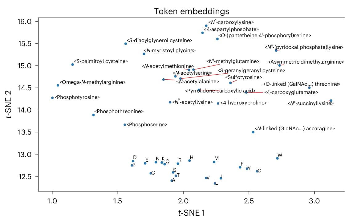 Open access visualization of Scatter Plot, UMAP, t-SNE, Token Embeddings, Convolutional Layer