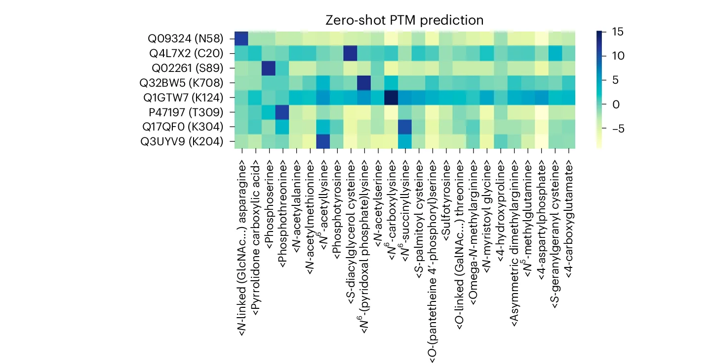 Open access visualization of Heatmap, Predicted Logits, Zero Shot PTM Discovery, Amino Acids, Uniref Accession ID