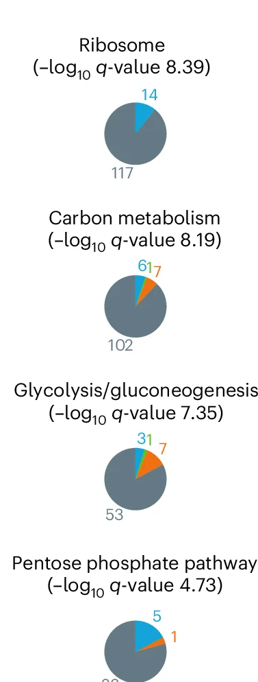 Open access visualization of Pie Chart, Cytoscape, KEGG, Functional Enrichment, Proteins