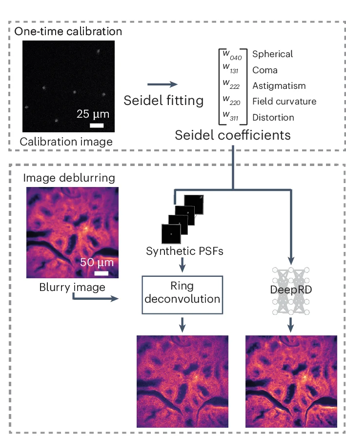 Open access visualization of Workflow, Illustration, Microscopy, Network, RDM Pipeline