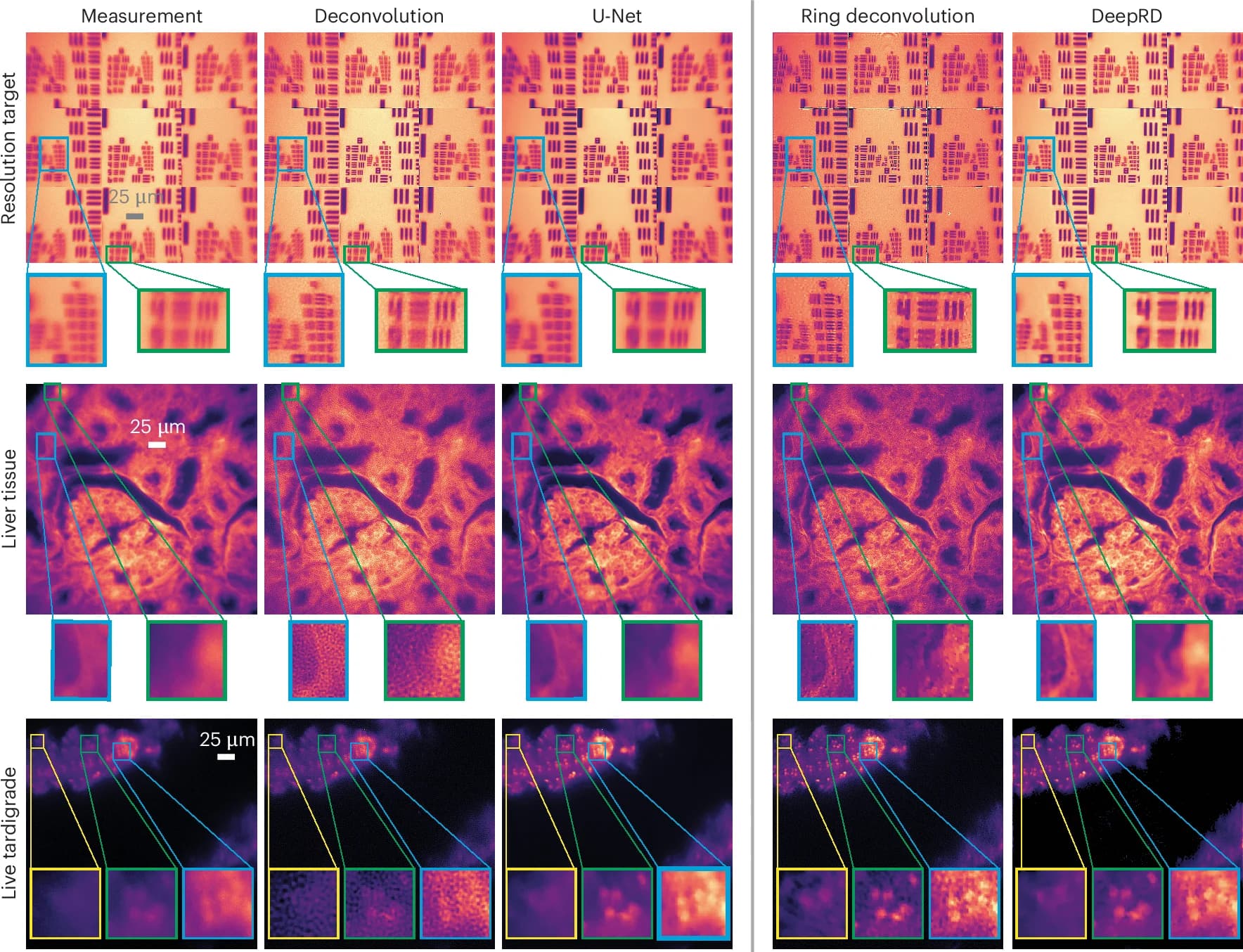 Open access visualization of Microscopy, Miniscope, Fluorescent Beads, Deblurring Methods, Deconvolution