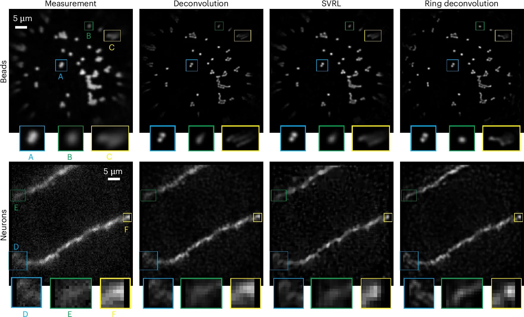Open access visualization of Microscopy, Deconvolution, SVRL, RDM, Point-Scanning Multimode Fiber Micro-Endoscope