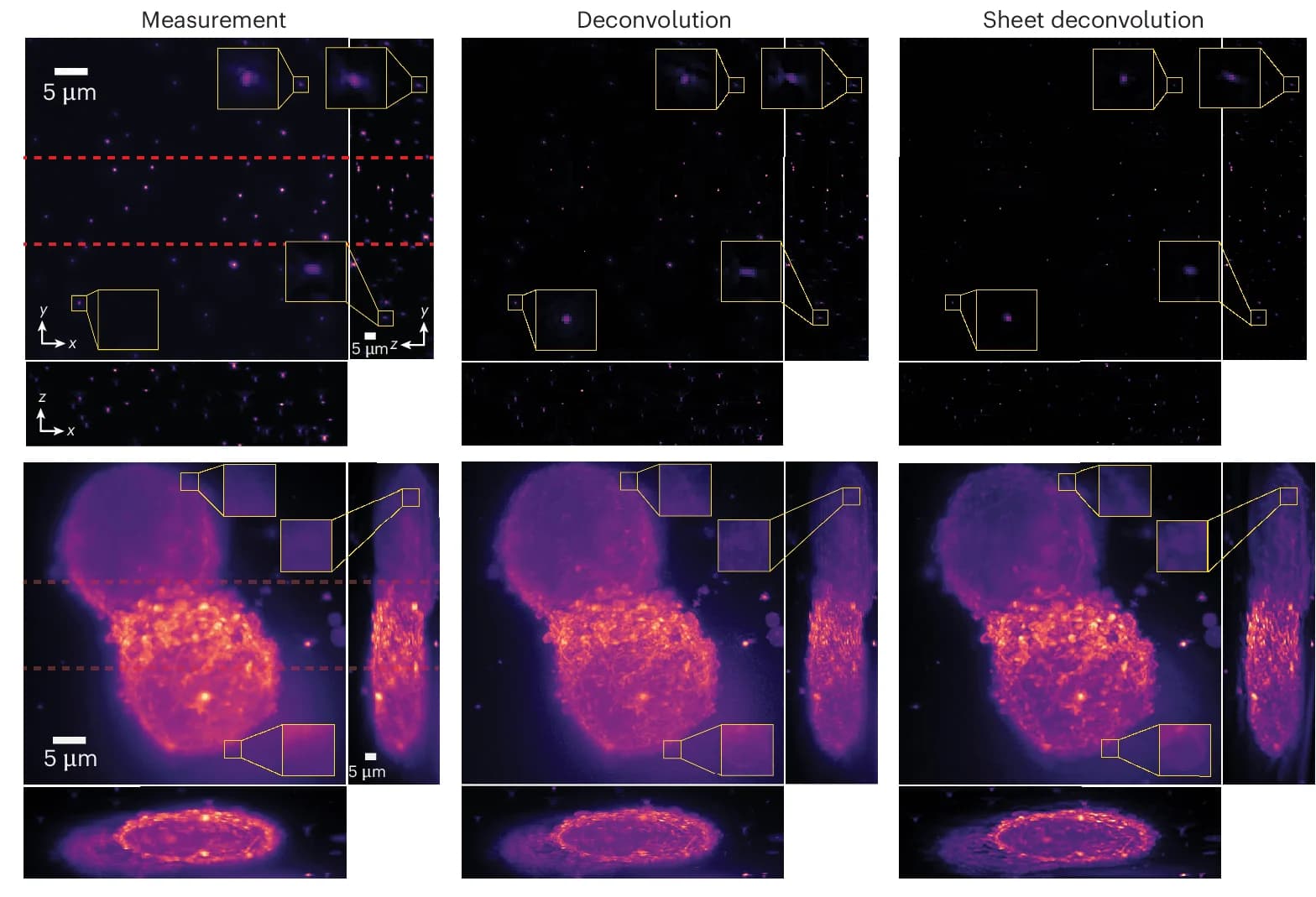 Open access visualization of Microscopy, 3D Deconvolution, Sheet Deconvolution, Fluorescent Beads, SU8686 Cells
