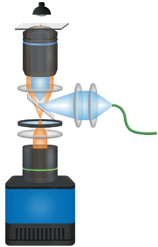 Open access visualization of Illustration, Workflow, QIScope, Objective Lens, Oil Immersion