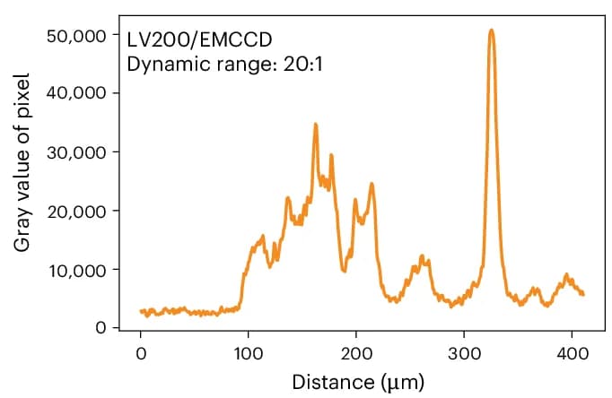 Open access visualization of Line Plot, Intensity profiles, Dynamic range, Pixel size, LV200/EMCCD