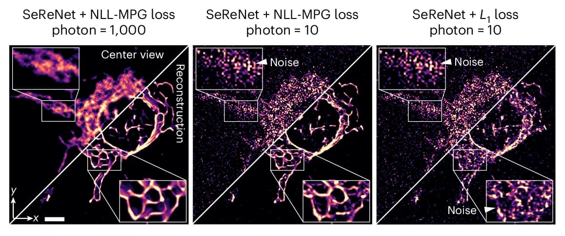 Open access visualization of Microscopy, Raw Measurements, SeReNet Reconstruction, Mitochondria-Labeled L929 Cell, Poisson-Gaussian Noises