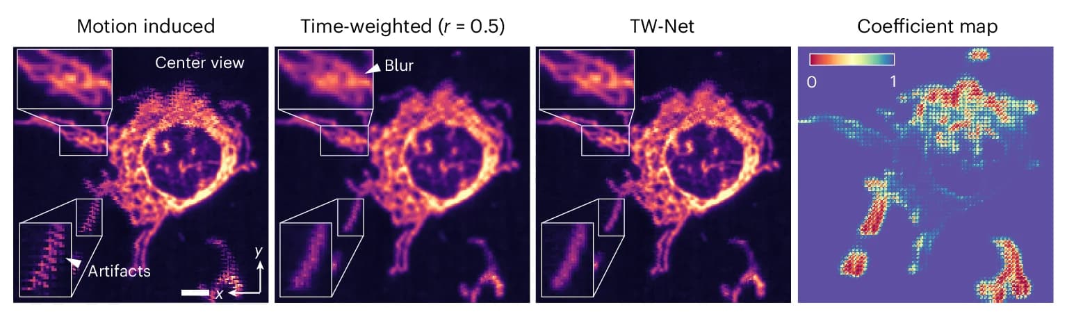Open access visualization of Microscopy, Photo, Heatmap, Measurement, Non-Rigid Motion