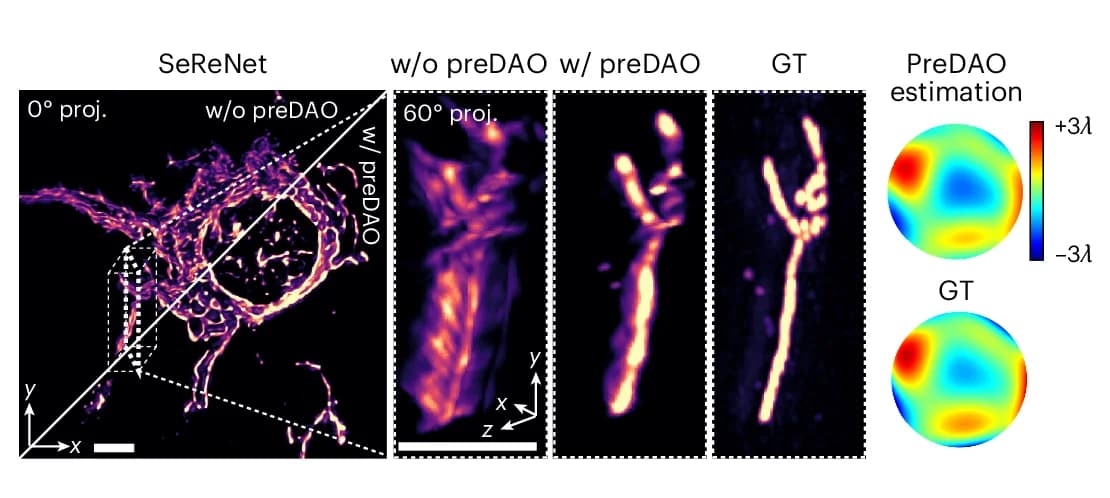 Open access visualization of Microscopy, SeReNet Results, preDAO, Aberration Wavefront, Root Mean Square