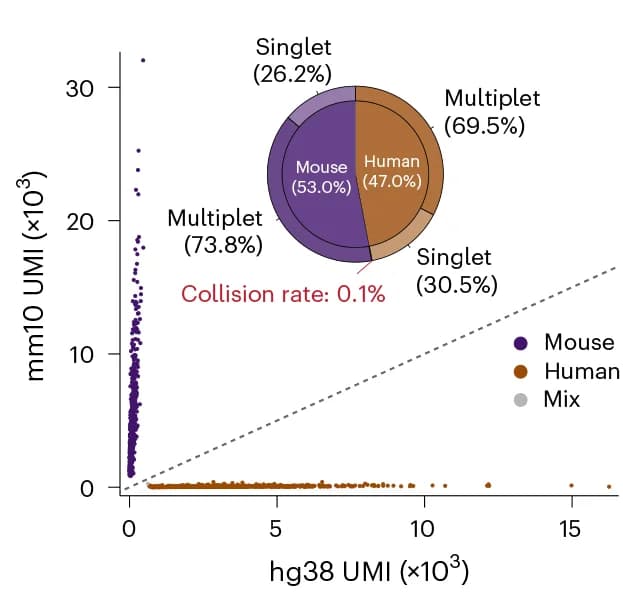 Open access visualization of Scatter Plot, Pie Chart, Donut Chart, Species-Mixing Plots, RNA
