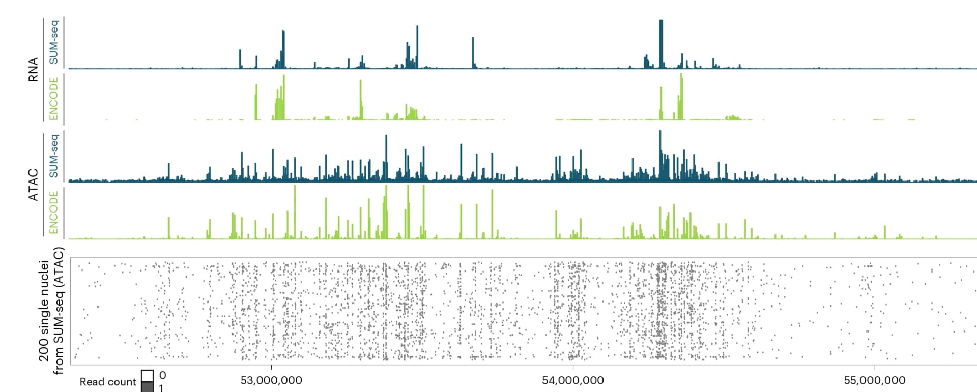 Open access visualization of Bar Plot, Scatter Plot, DNA Fragments, Genes, SUM-seq