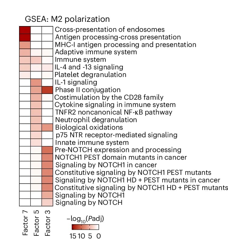 Open access visualization of Heatmap, GSEA, M2 Polarization, FDR-corrected P values, Heat Maps