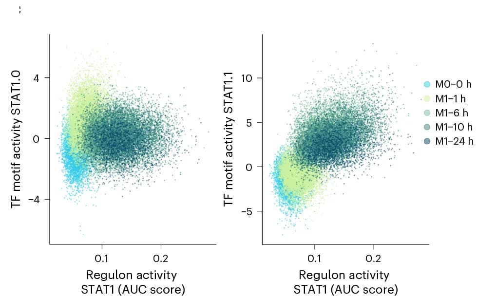Open access visualization of Scatter Plot, Scatter Plots, STAT1 Regulon Activity, Transcription Factor Motif Activities, Correlation