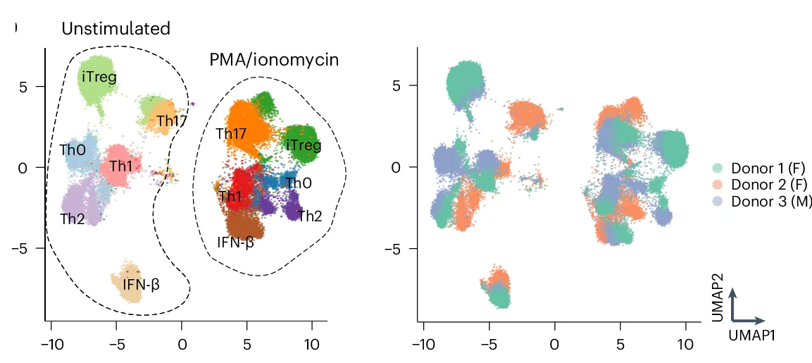Open access visualization of UMAP, WNN UMAP Projection, SUM-seq Data, Th Subsets, Cell Annotation