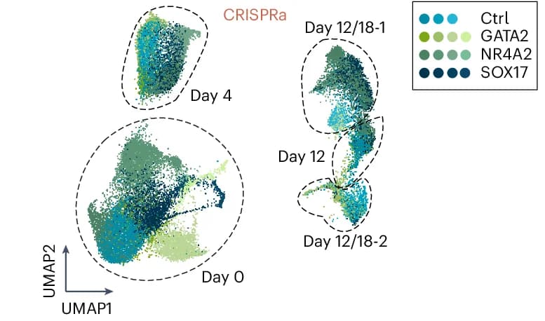 Open access visualization of Scatter Plot, UMAP, WNN UMAP, CRISPRi/a SUM-seq Screens, Monolayer
