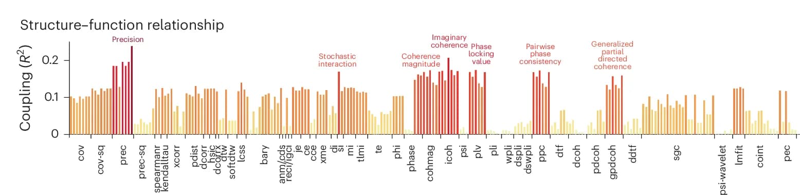 Open access visualization of Bar Plot, Structure-Function Coupling, Interaction Statistics, Structural Connectivity, Coefficient of Determination