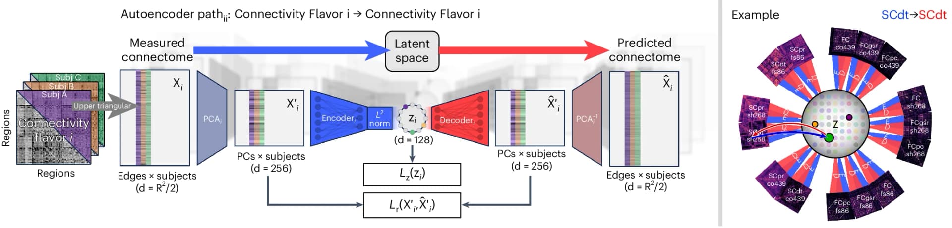 Open access visualization of Workflow, Network, Chord, Heatmap, Autoencoder
