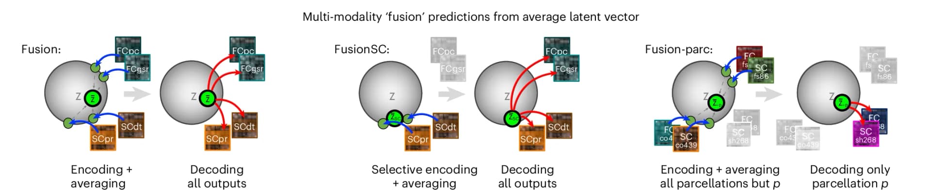 Open access visualization of Workflow, Flowchart, Illustration, Multimodality Fusion, Latent Space