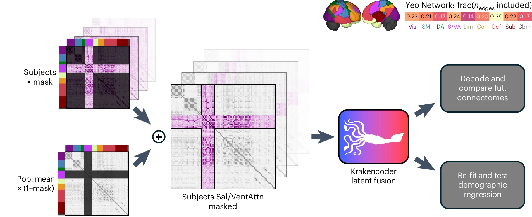 Open access visualization of Workflow, Brain Network, Connectome, Demographic Prediction, Behavioral Prediction