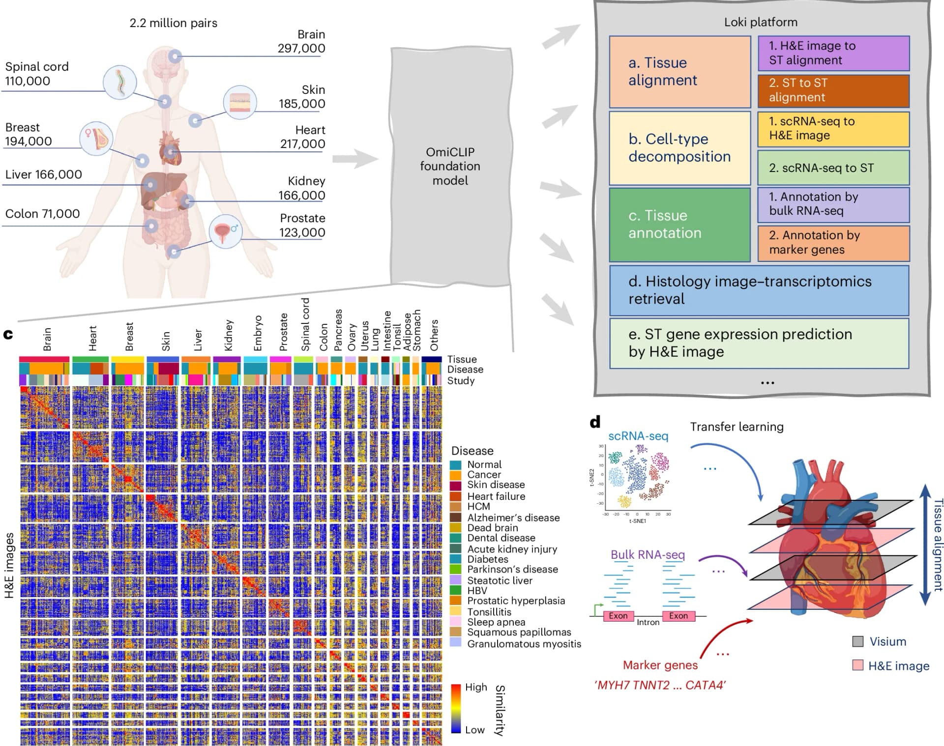 Open access visualization of Workflow, Scatter Plot, Heatmap, Illustration, Loki Platform