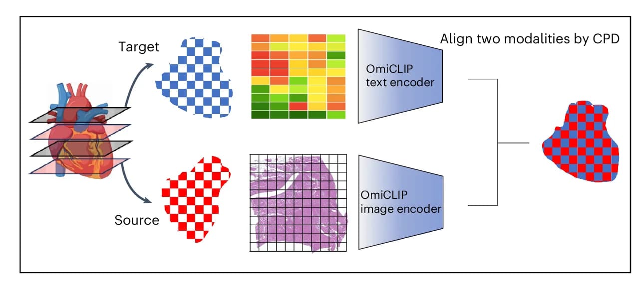 Open access visualization of Workflow, Illustration, Heatmap, Microscopy, Tissue Alignment