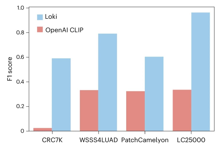Open access visualization of Bar Plot, Clustered, Zero-Shot Performance, Weighted F1 Scores, Datasets