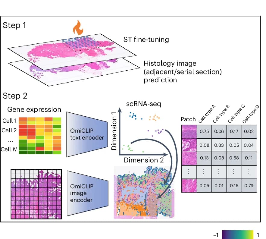 Open access visualization of Workflow, Scatter Plot, Heatmap, Illustration, Table Image