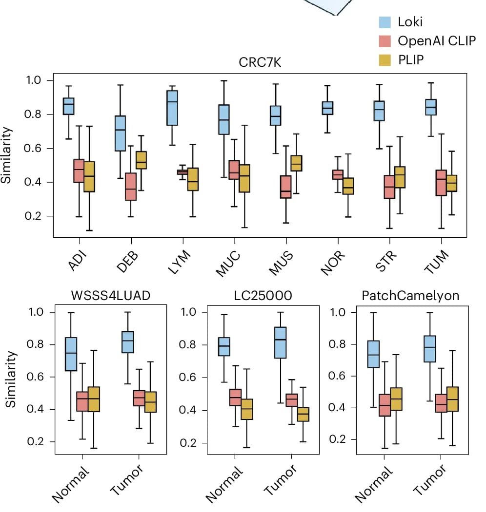 Open access visualization of Box Plot, Image-to-Transcriptomics Retrieval, Similarity Scores, CRC7K, WSSS4LUAD