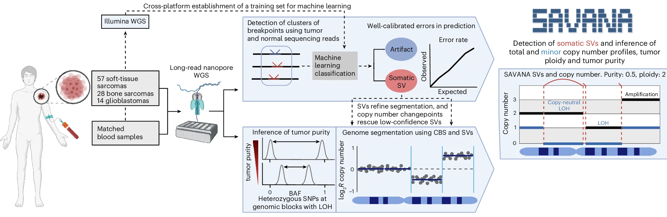 Open access visualization of Workflow, Line Plot, Density Plot, Somatic SVs, SCNAs