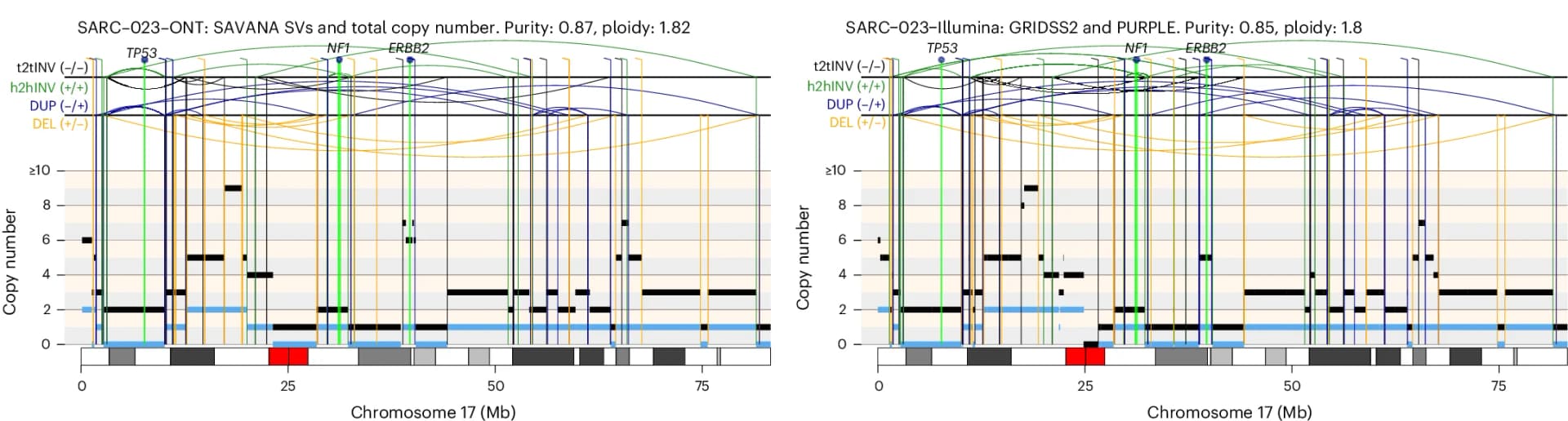 Open access visualization of Line Plot, Genomic Rearrangement, SAVANA, Short-Read Sequencing, Allele Copy Number
