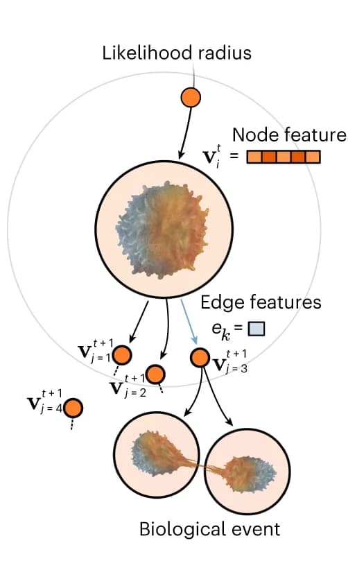Open access visualization of Workflow, Illustration, Cells, Directed Graph, Detection