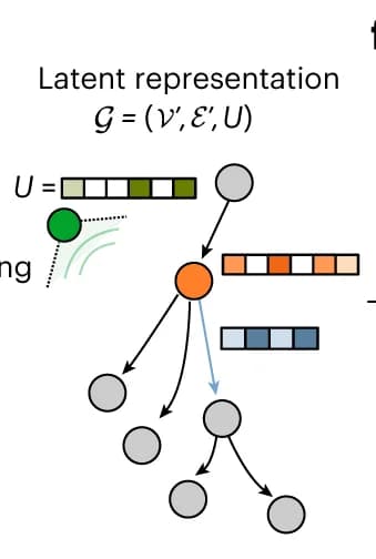 Open access visualization of Network, Pathway, Graph Representation, Token, Cell Dynamics
