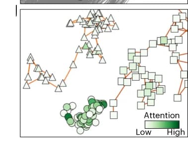 Open access visualization of Network, Ground-truth trajectories, Symbols, Lines, Attention head