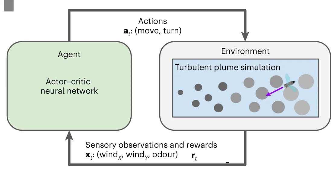 Open access visualization of Workflow, Flowchart, Artificial Agent, Environment Interaction, Plume Simulator