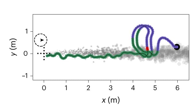 Open access visualization of Scatter Plot, Line Plot, Plume Tracking, Homing, Odour Source