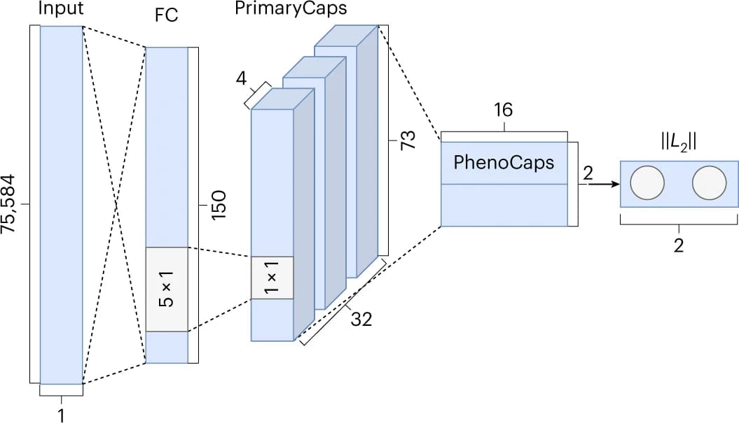 Open access visualization of Workflow, Flowchart, Gene PCA, DiseaseCapsule, Fully Connected Layer