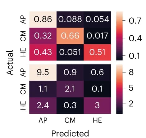 Open access visualization of Heatmap, Confusion Matrices, Experimental Classification