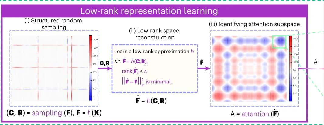 Open access visualization of Heatmap, Attention Subspace, Evolutionary Computation, Global Optimum