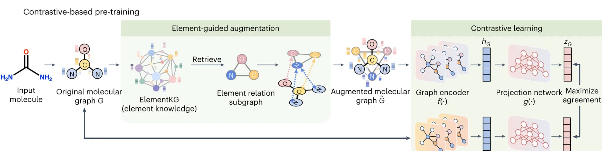 Open access visualization of Workflow, Flowchart, Contrastive Learning, Pre-training, Graph Augmentation
