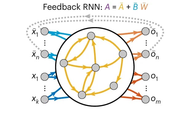 Open access visualization of Network, Pathway, Closed-loop architecture, Input sets, Output sets