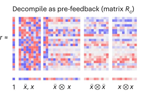 Open access visualization of Heatmap, Decompiled matrix, Constant terms, Linear terms, Quadratic terms